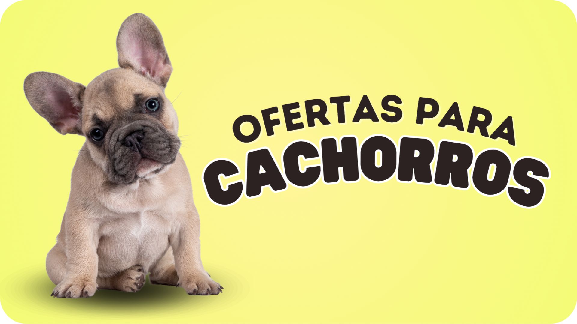 Tienda Para Mascotas Viña del mar | Vibranimal Petshop