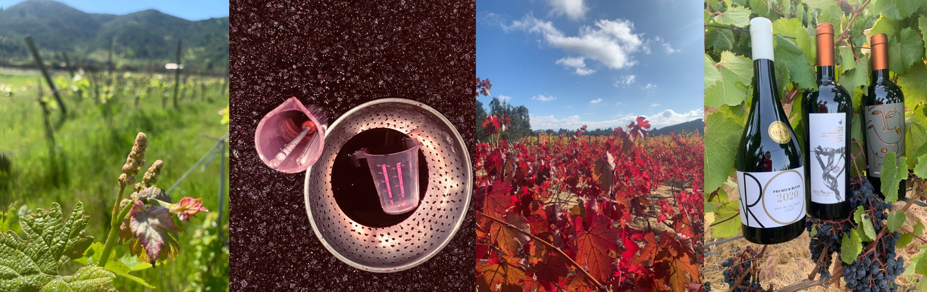 Bienvenidos a nuestra tienda