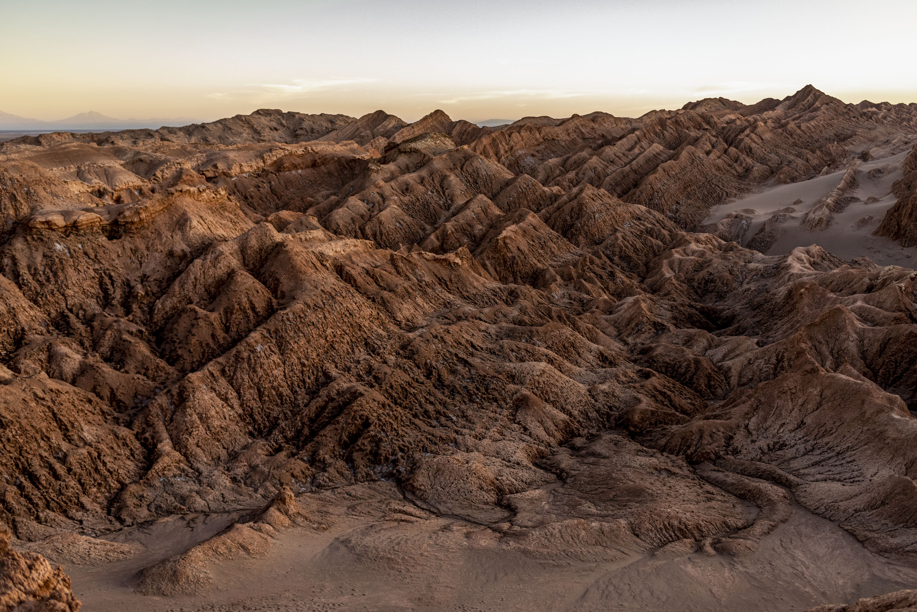 DESCUBRE EL SABOR DEL DESIERTO
