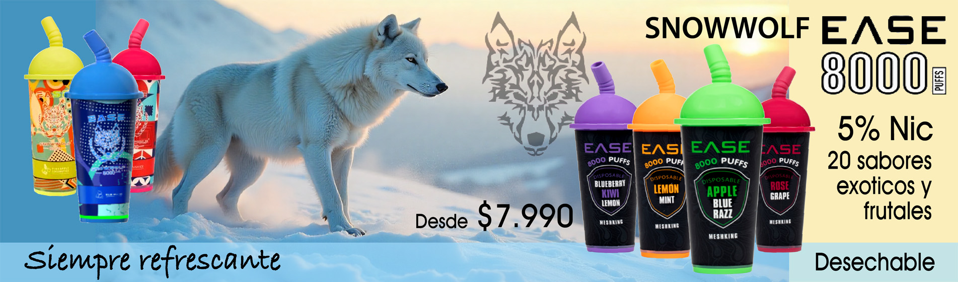 Vishv.cl primera Tienda Mayorista Online