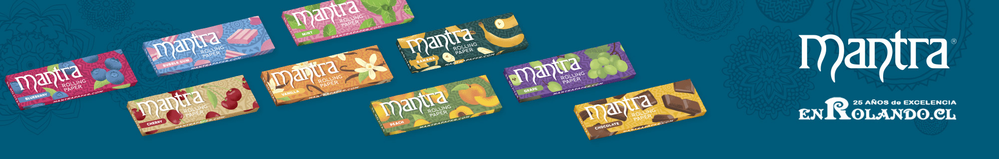 Vishv.cl primera Tienda Mayorista Online