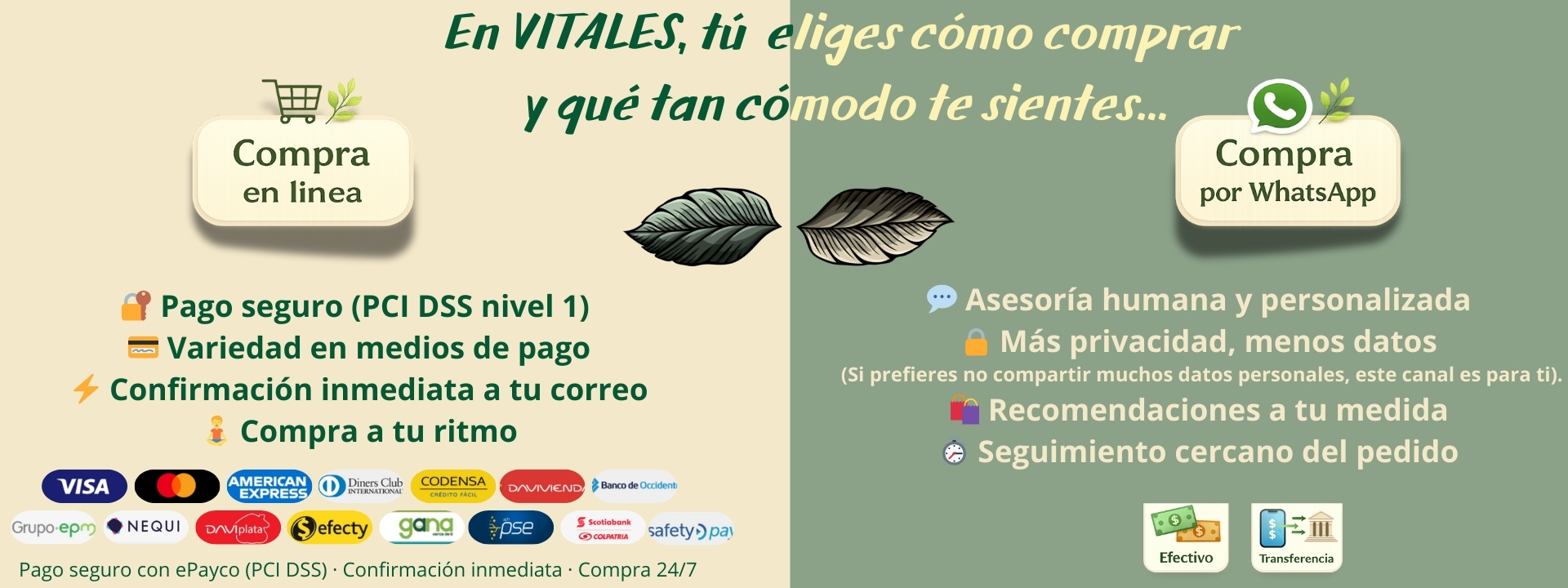 Título de la Sección