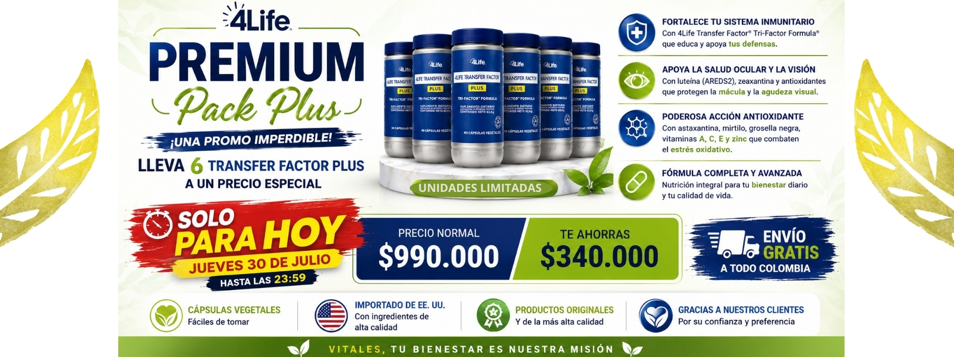 Título de la Sección