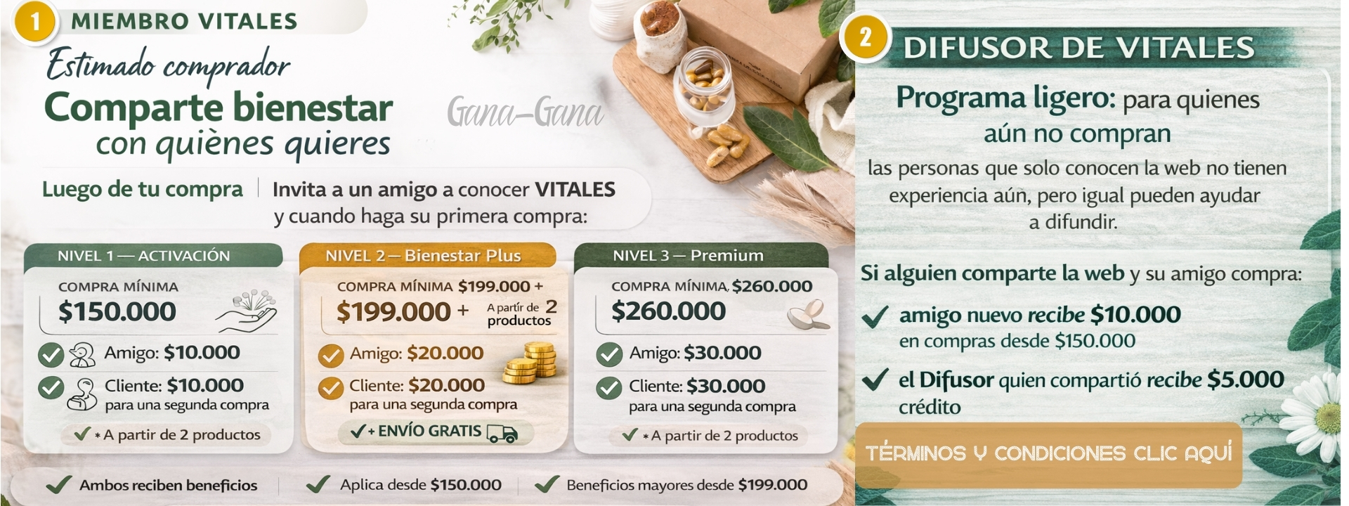 Título de la sección