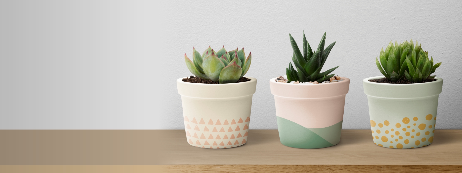 Vive Rosa, Vive Jardín