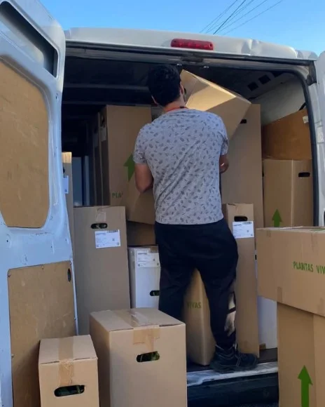 Caixas de plantas vivas a serem carregadas para expedição