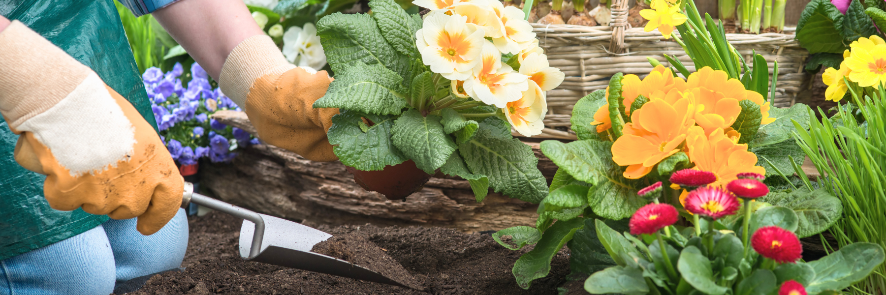 Cursos y Talleres de Jardinería