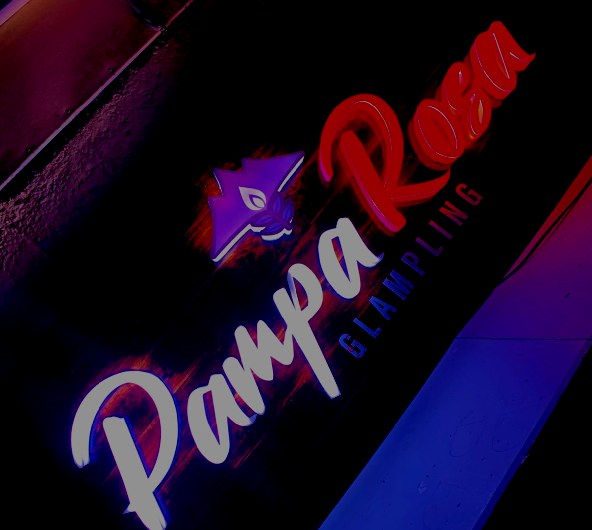 Suscríbete a nuestro Newsletter