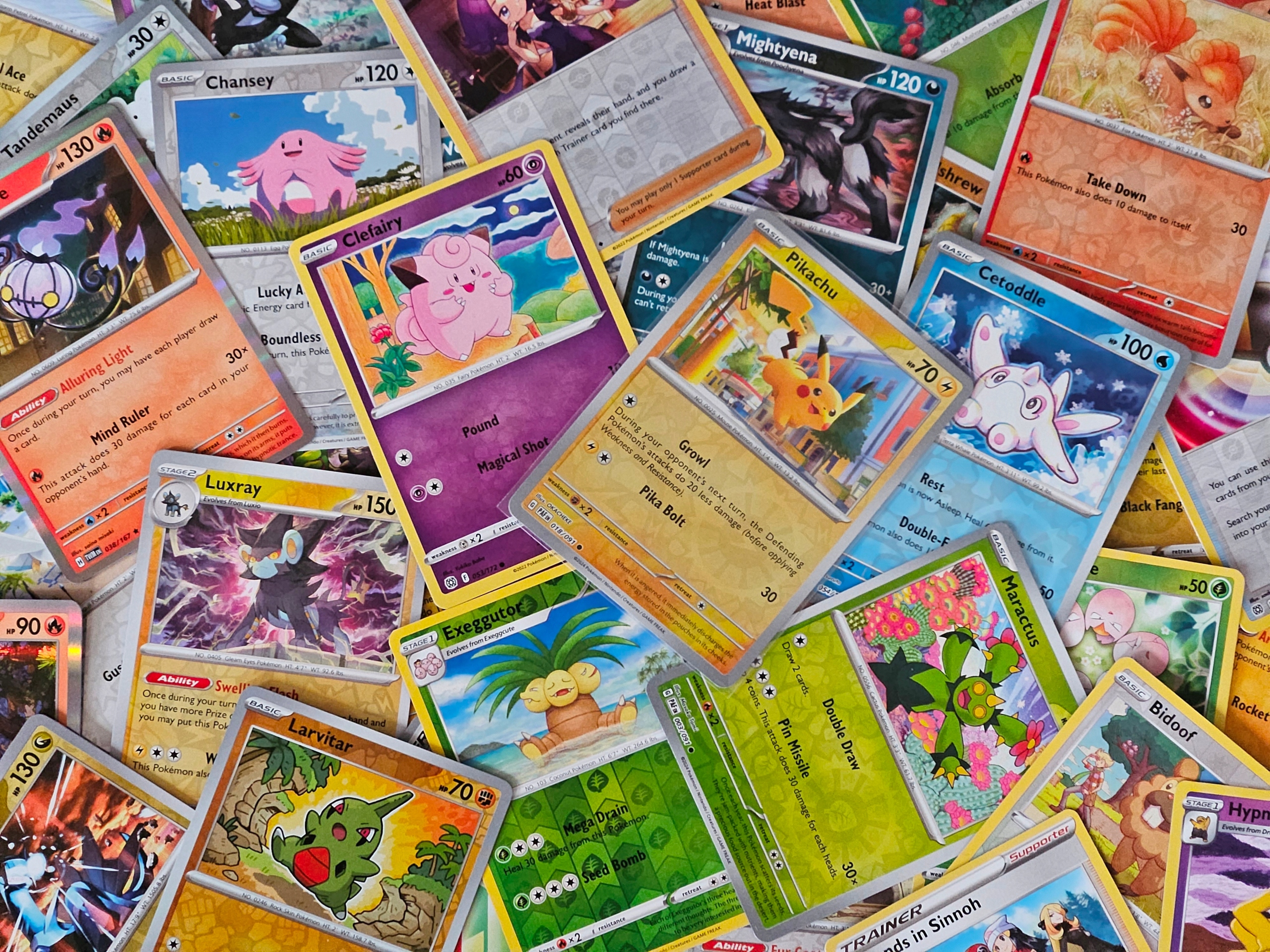 <b>Pokemon TCG</b>