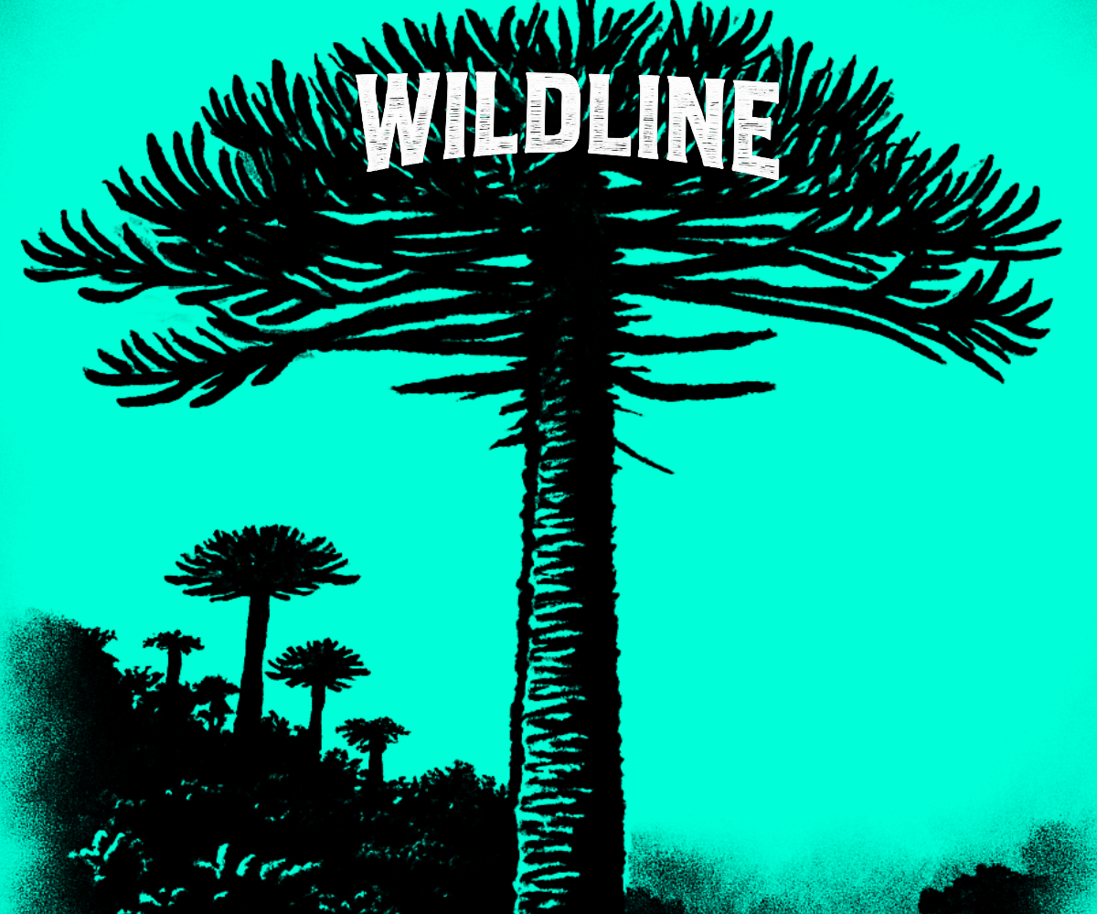 WILDLINE: Donde comienza tu línea
