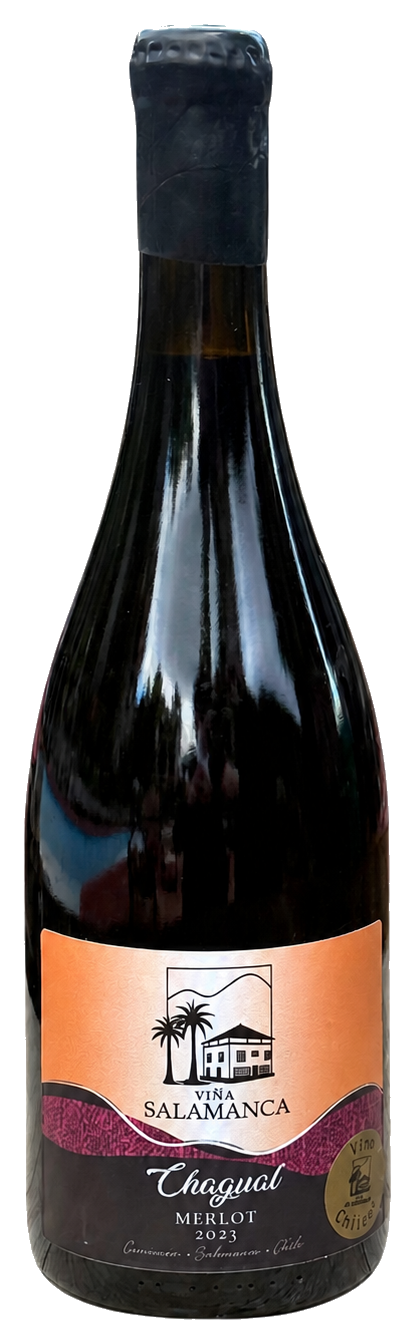 Botella de Merlot 2023
