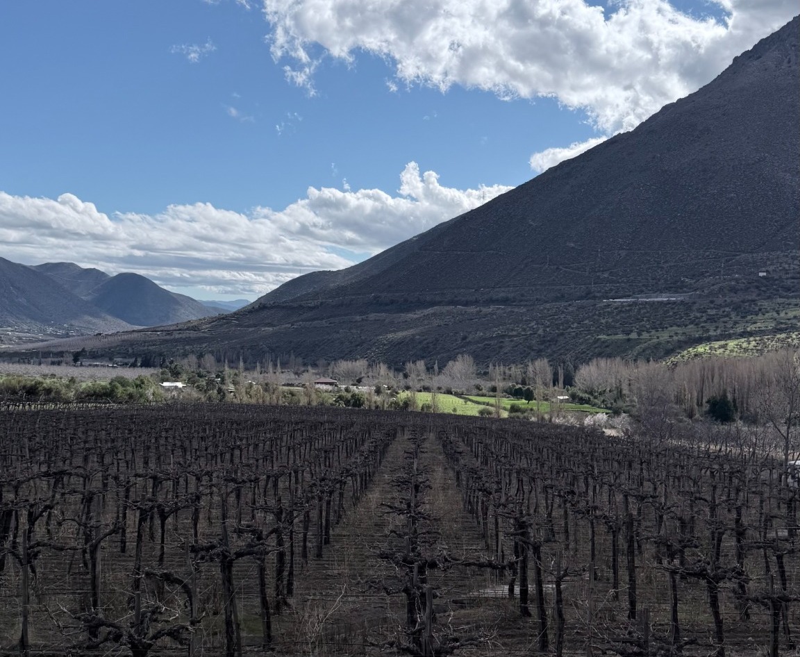 Viñedos y montañas del Valle del Choapa