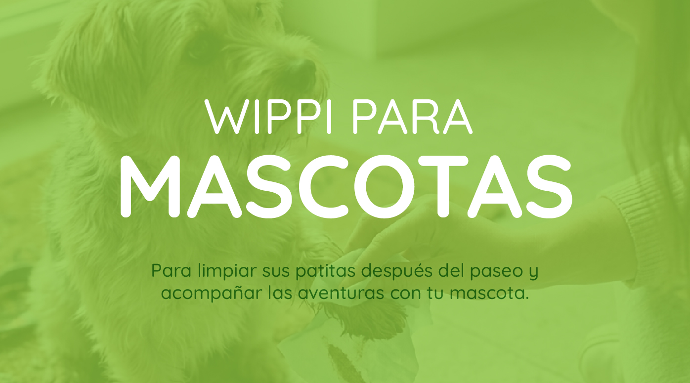 Wippi
