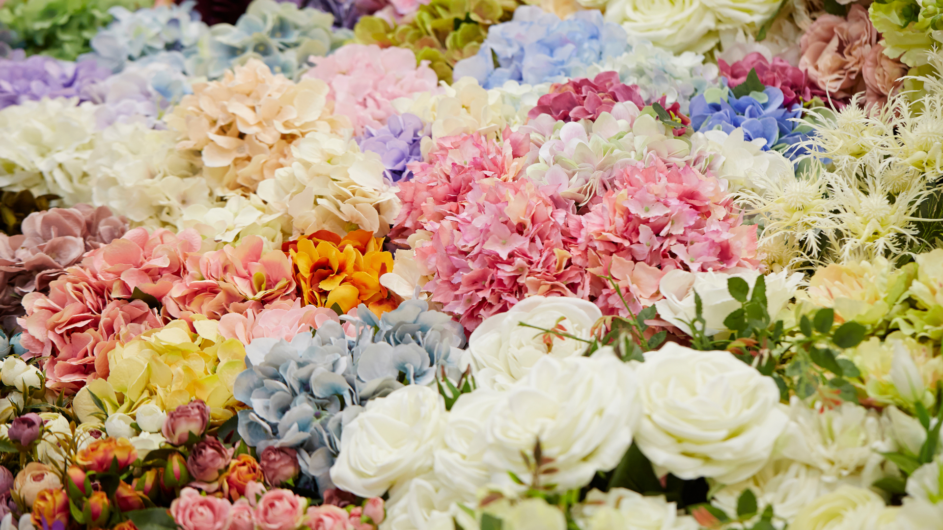 Feel Flowers en Cyber