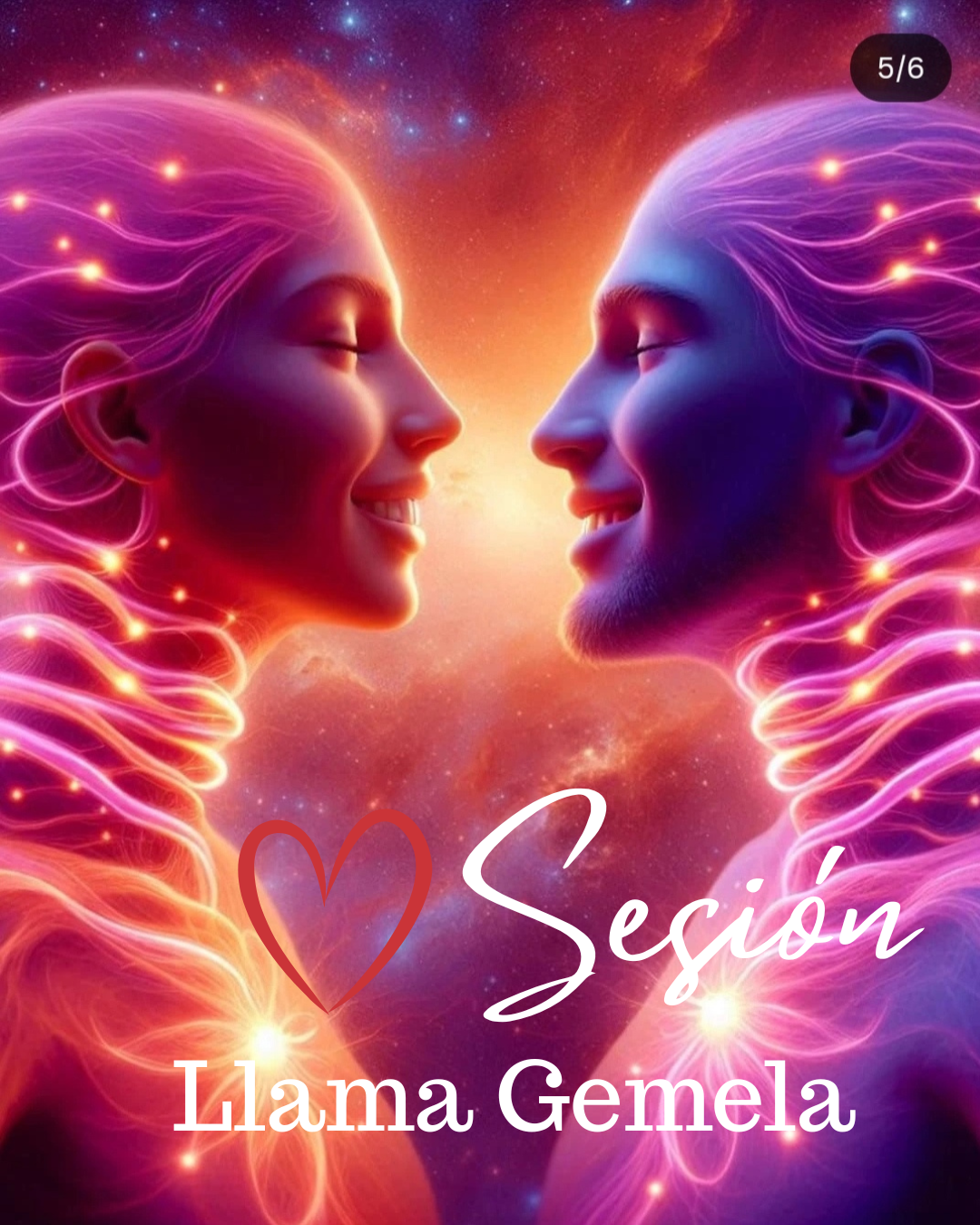 Sesión Personal Llama Gemela