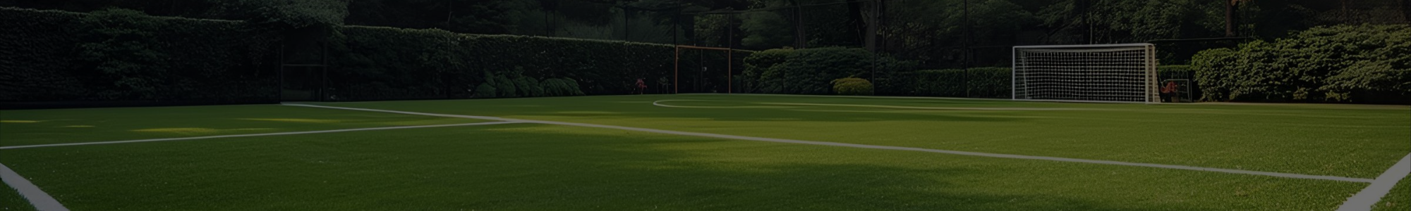 Título de la Sección